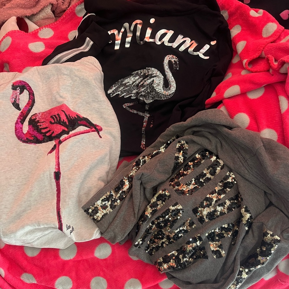 Vs pink bling flamingo
